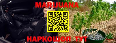 сатива Абакан