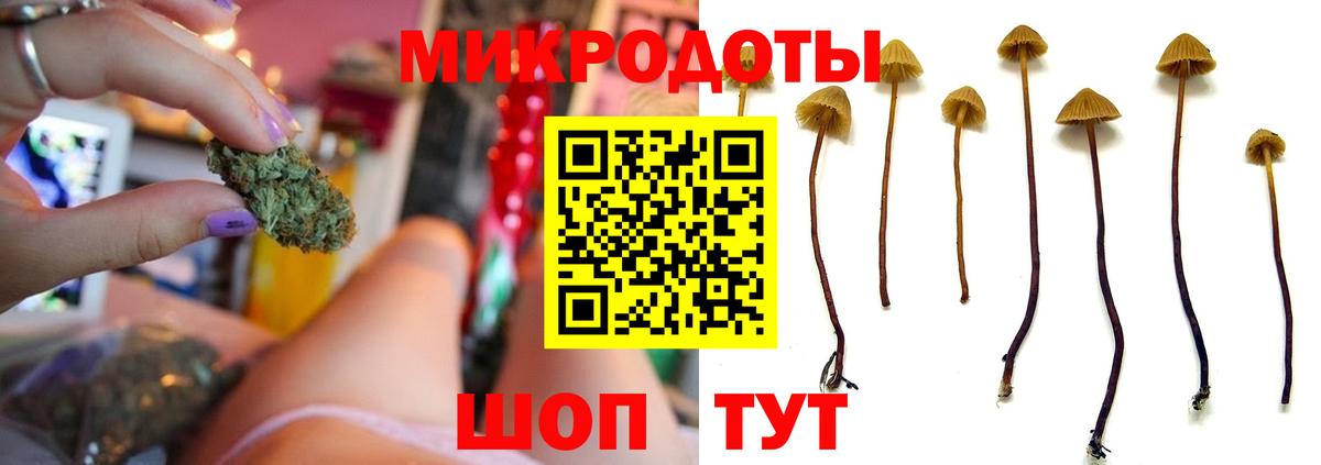 Псилоцибиновые грибы Psilocybine cubensis  Вход с VPN  Алексеевка 